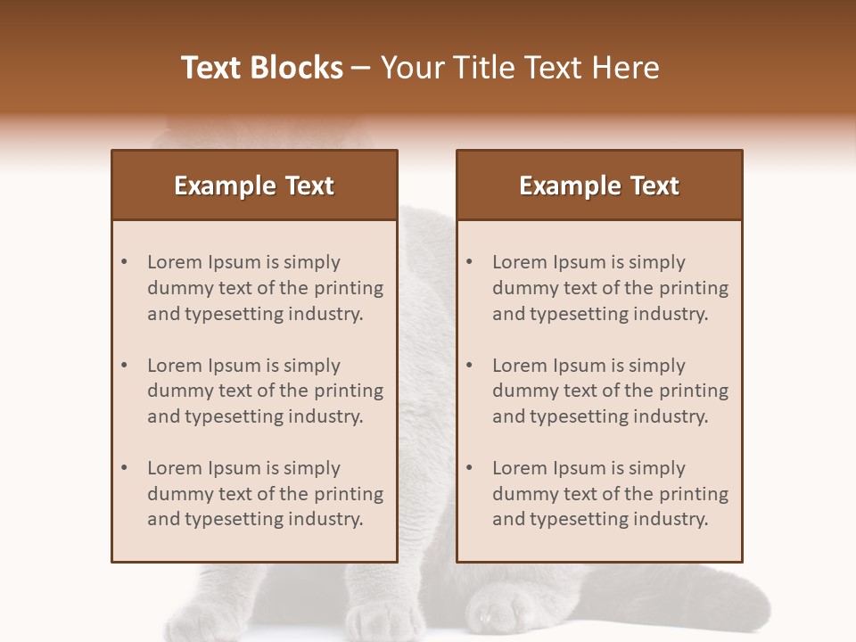 Pet Cat Curious PowerPoint Template