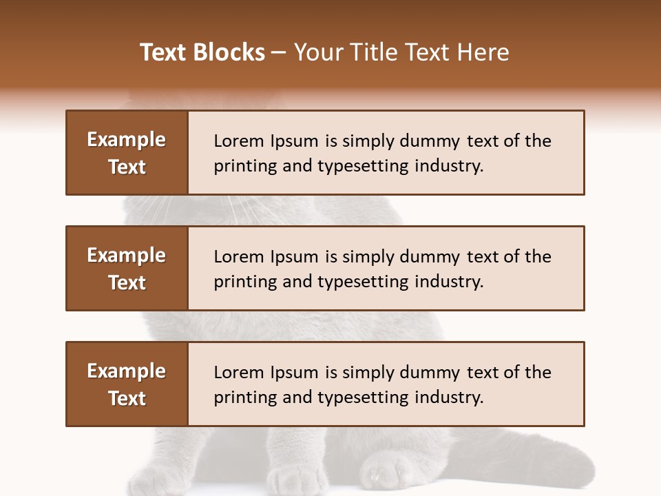 Pet Cat Curious PowerPoint Template