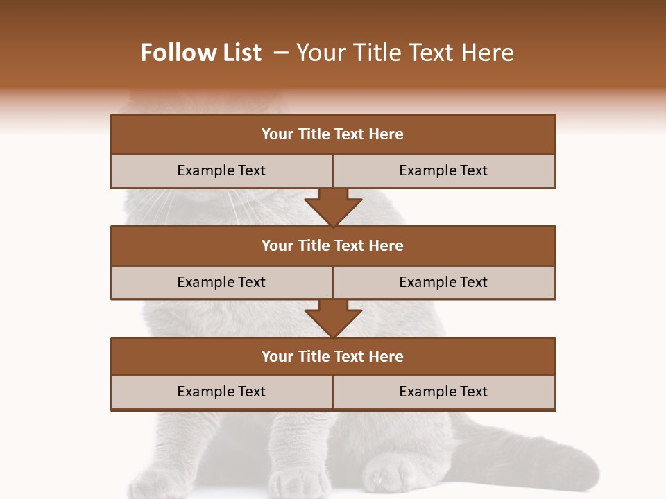 Pet Cat Curious PowerPoint Template
