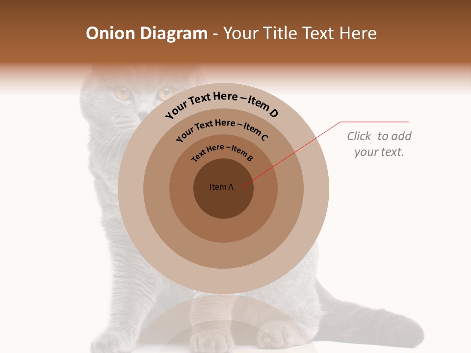 Pet Cat Curious PowerPoint Template