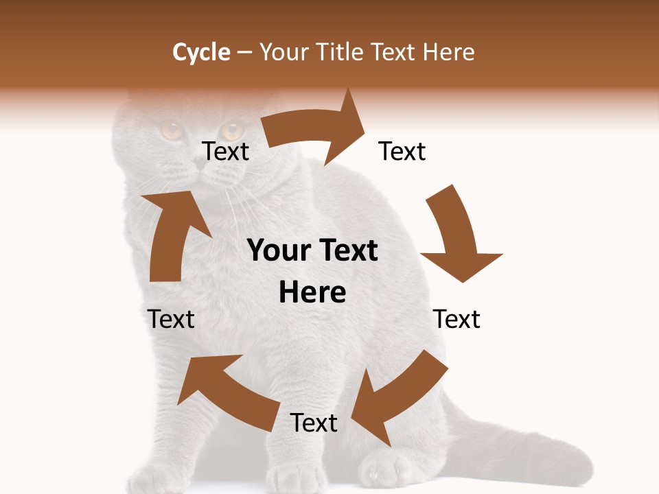 Pet Cat Curious PowerPoint Template