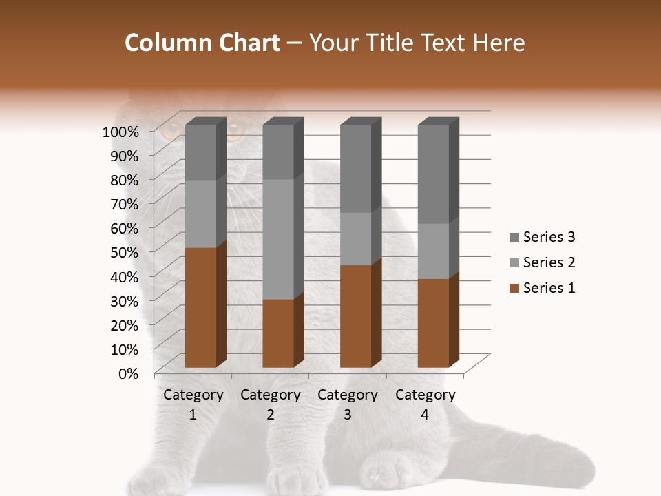Pet Cat Curious PowerPoint Template
