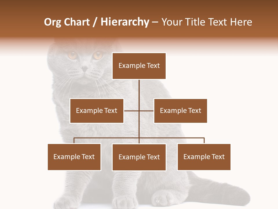 Pet Cat Curious PowerPoint Template