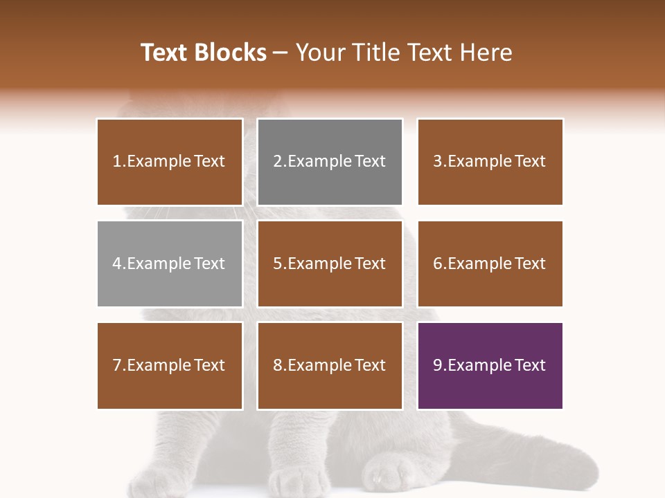 Pet Cat Curious PowerPoint Template