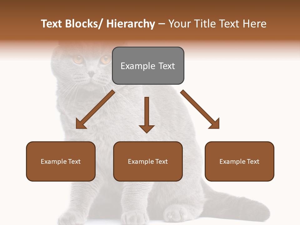 Pet Cat Curious PowerPoint Template