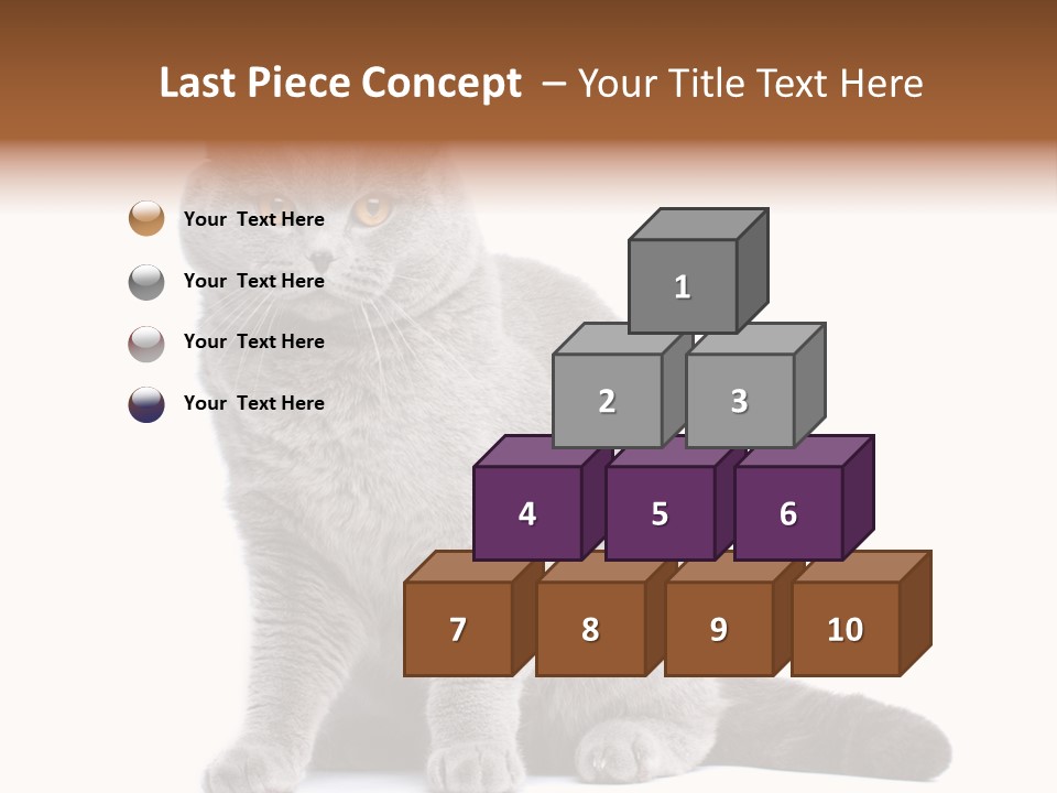 Pet Cat Curious PowerPoint Template
