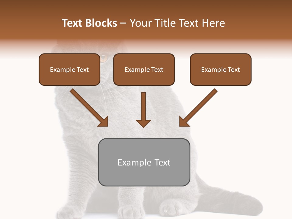 Pet Cat Curious PowerPoint Template