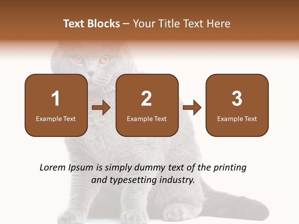 Pet Cat Curious PowerPoint Template