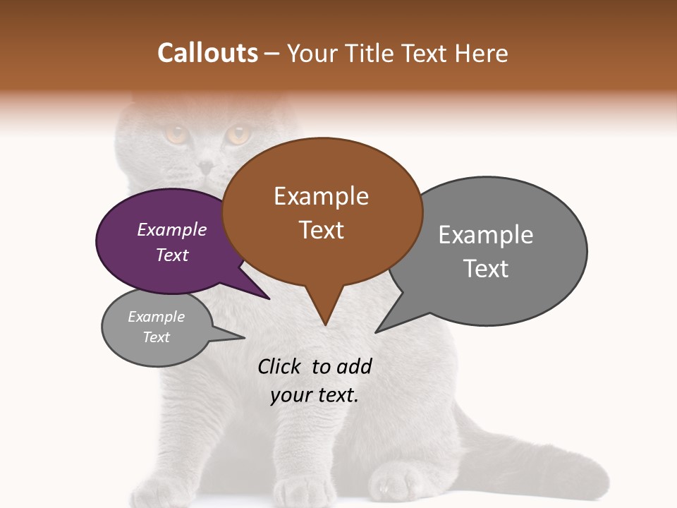 Pet Cat Curious PowerPoint Template