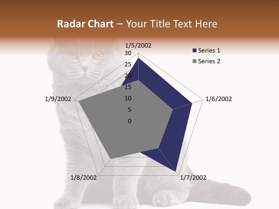 Pet Cat Curious PowerPoint Template