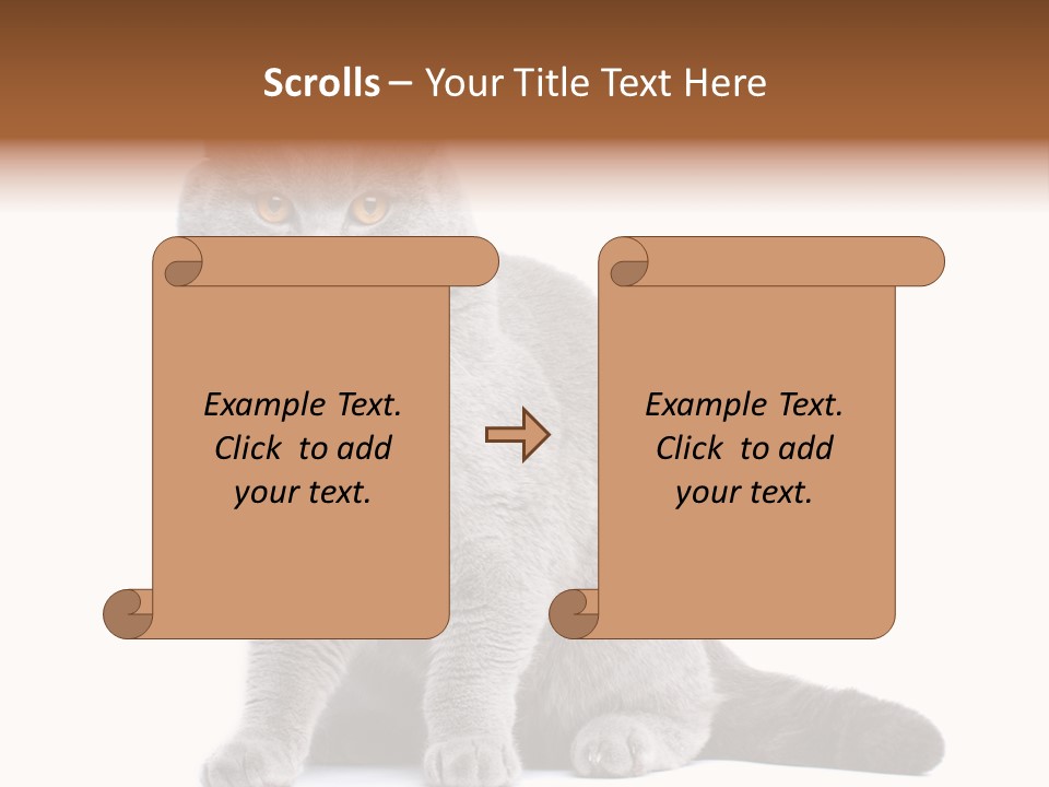 Pet Cat Curious PowerPoint Template