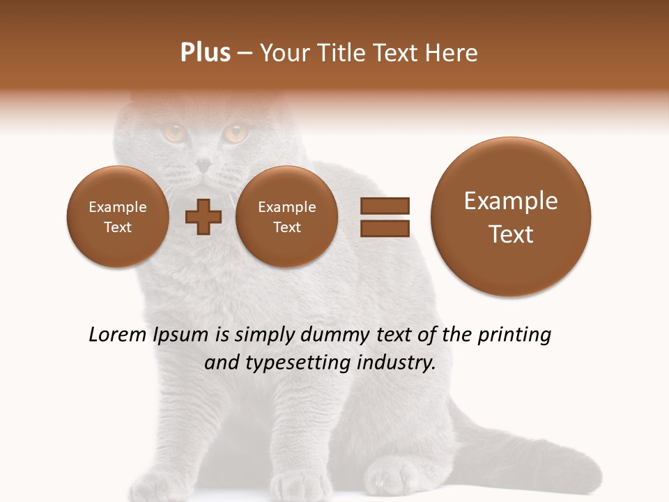 Pet Cat Curious PowerPoint Template