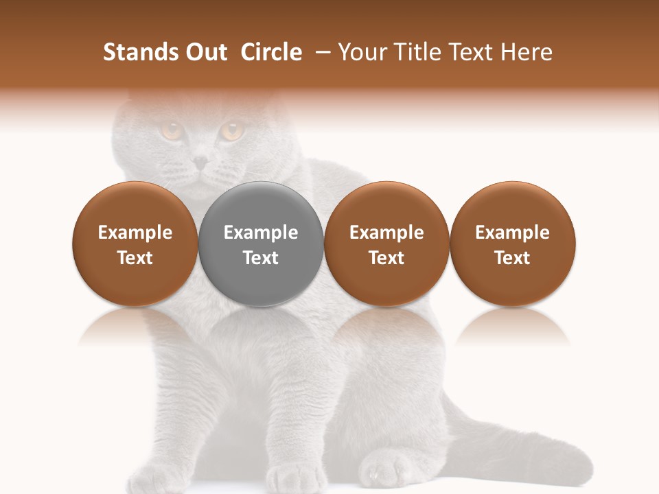 Pet Cat Curious PowerPoint Template