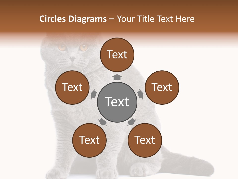 Pet Cat Curious PowerPoint Template