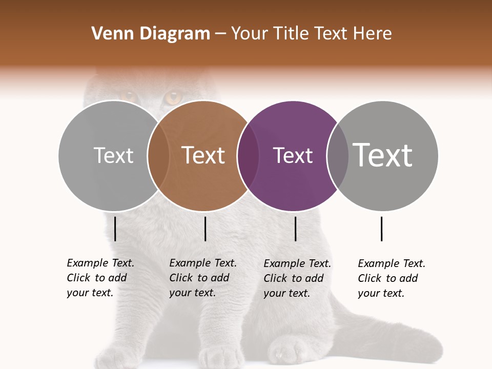Pet Cat Curious PowerPoint Template