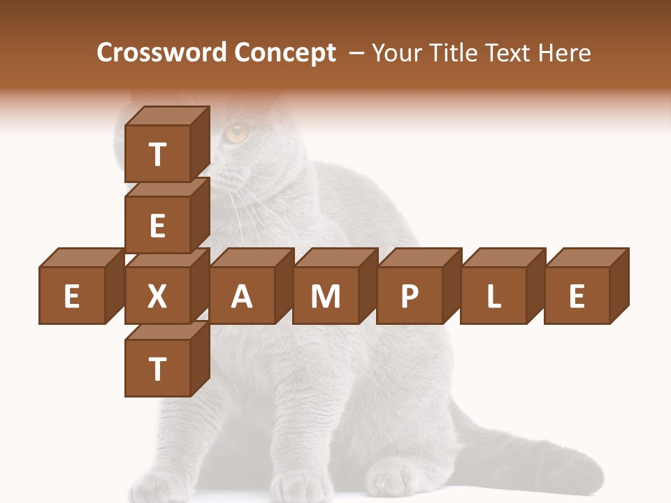 Pet Cat Curious PowerPoint Template