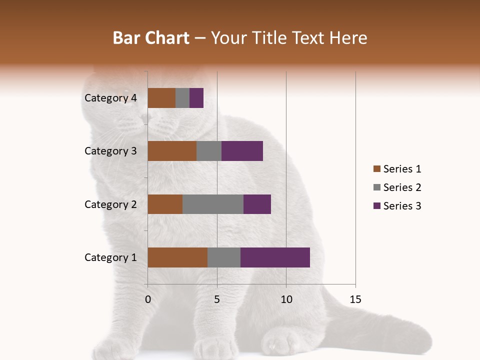 Pet Cat Curious PowerPoint Template