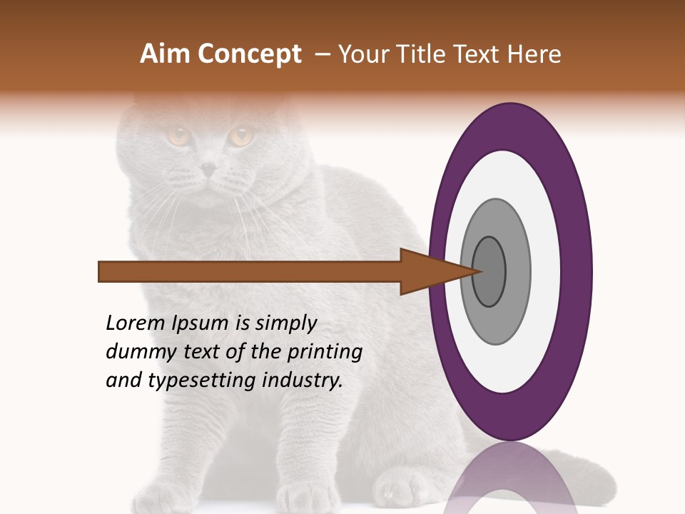 Pet Cat Curious PowerPoint Template