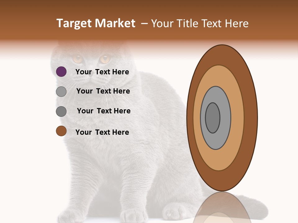 Pet Cat Curious PowerPoint Template