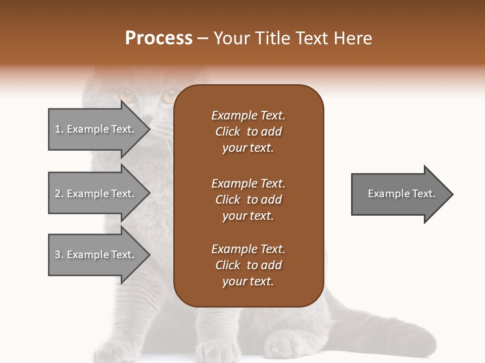 Pet Cat Curious PowerPoint Template