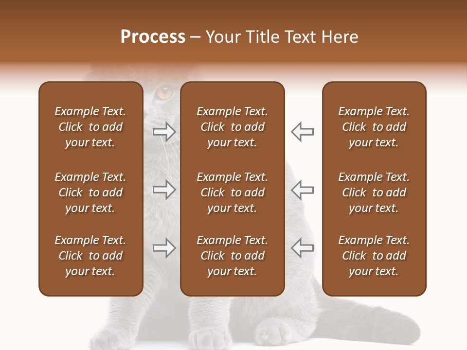 Pet Cat Curious PowerPoint Template