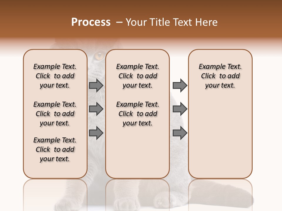 Pet Cat Curious PowerPoint Template