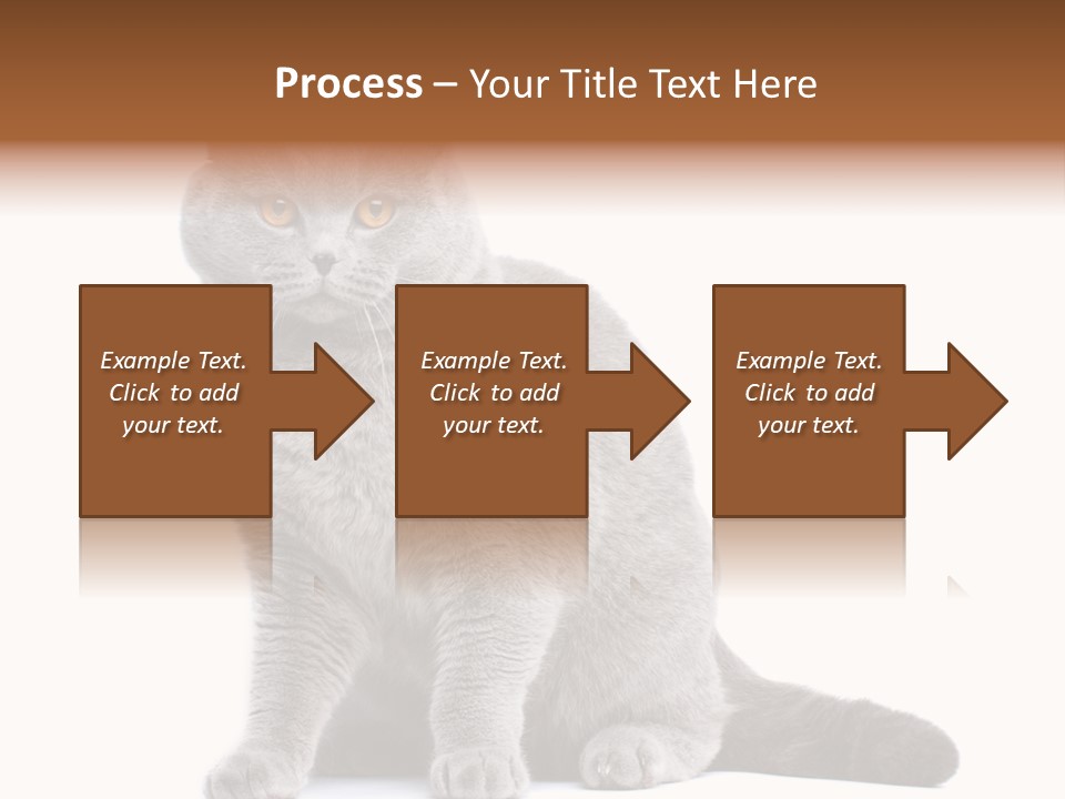 Pet Cat Curious PowerPoint Template