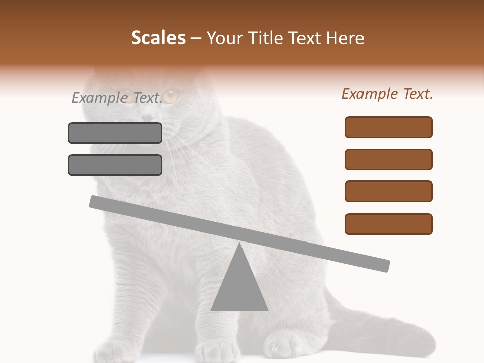 Pet Cat Curious PowerPoint Template