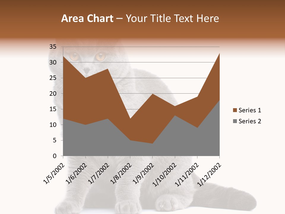 Pet Cat Curious PowerPoint Template