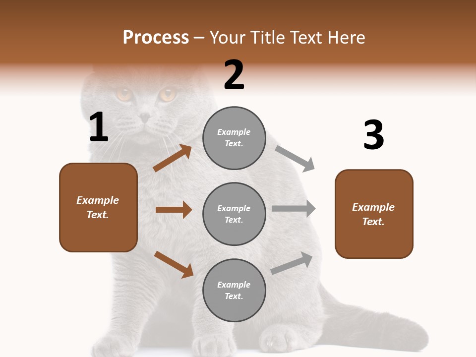 Pet Cat Curious PowerPoint Template
