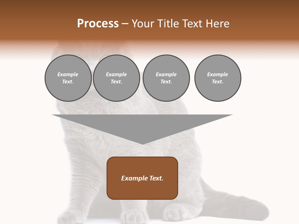 Pet Cat Curious PowerPoint Template