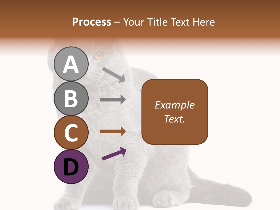 Pet Cat Curious PowerPoint Template