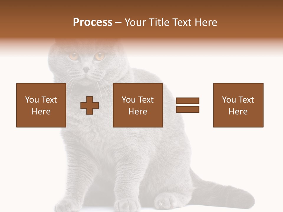 Pet Cat Curious PowerPoint Template