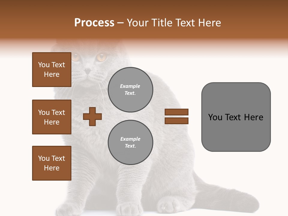 Pet Cat Curious PowerPoint Template