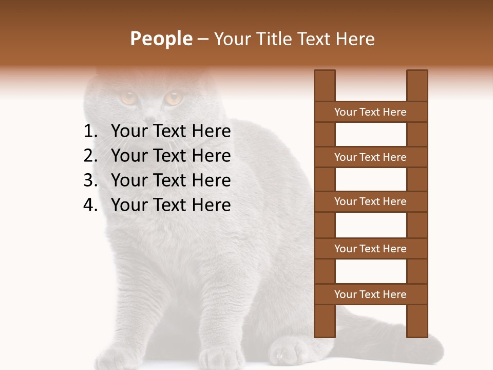 Pet Cat Curious PowerPoint Template