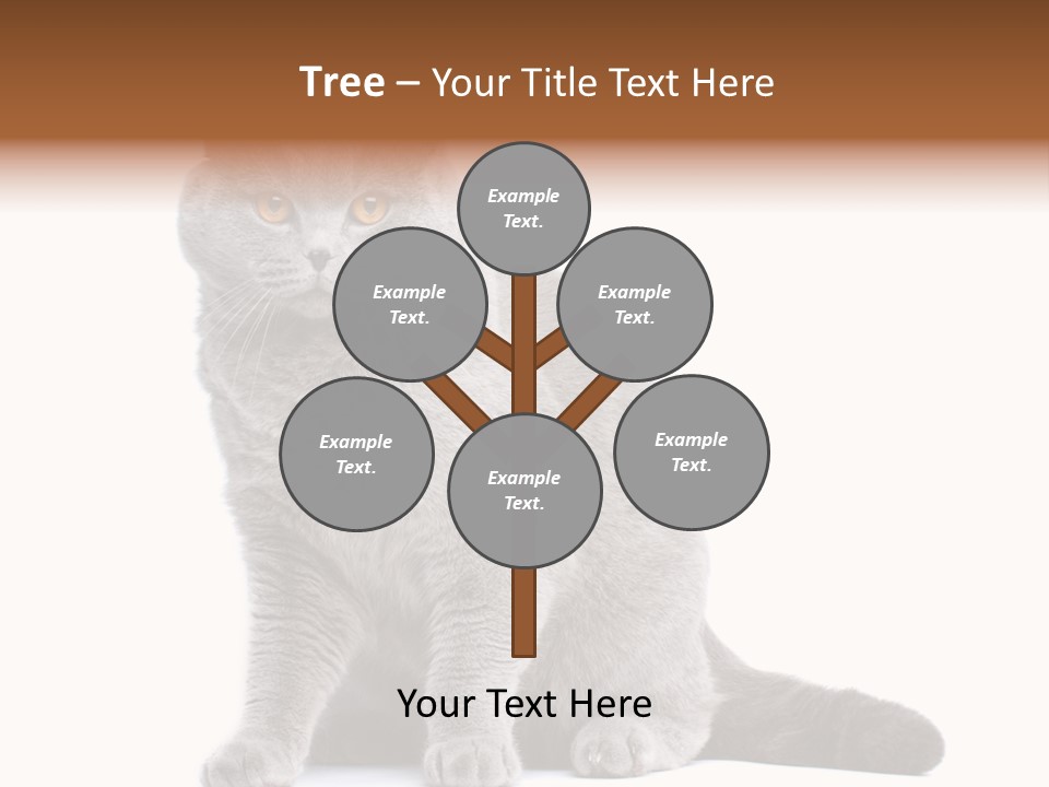 Pet Cat Curious PowerPoint Template