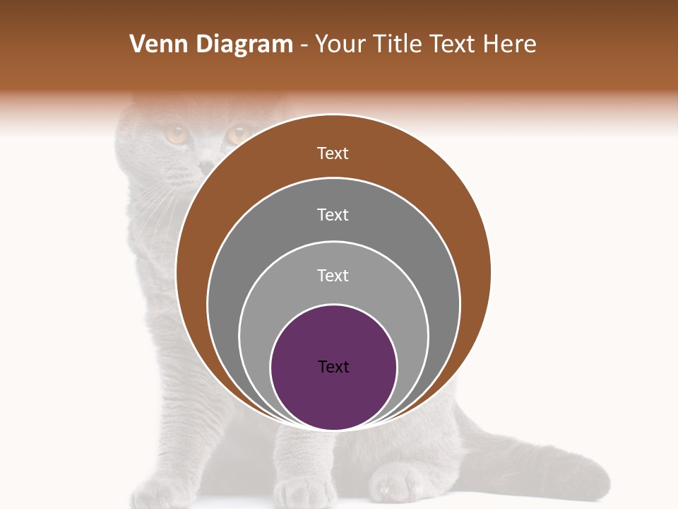 Pet Cat Curious PowerPoint Template
