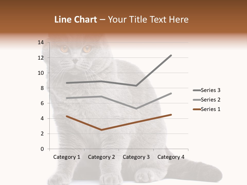 Pet Cat Curious PowerPoint Template