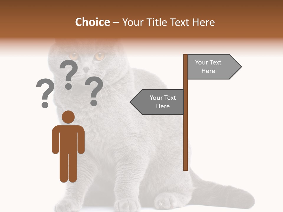 Pet Cat Curious PowerPoint Template
