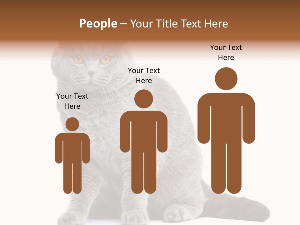 Pet Cat Curious PowerPoint Template