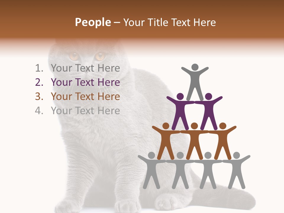 Pet Cat Curious PowerPoint Template