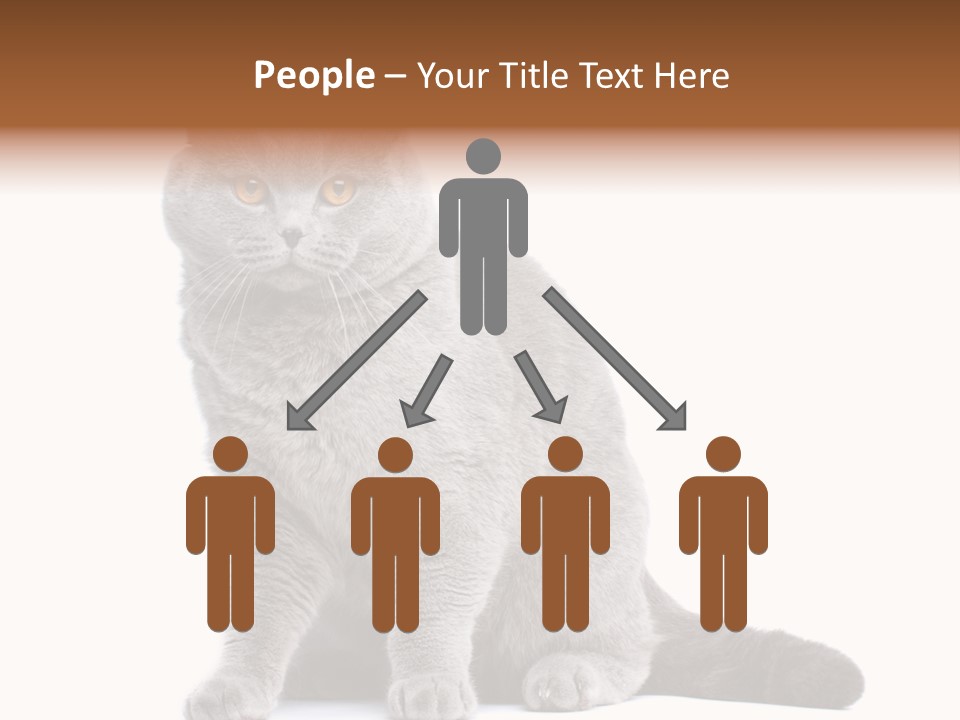 Pet Cat Curious PowerPoint Template