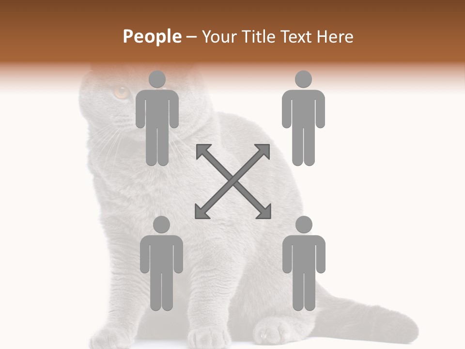 Pet Cat Curious PowerPoint Template