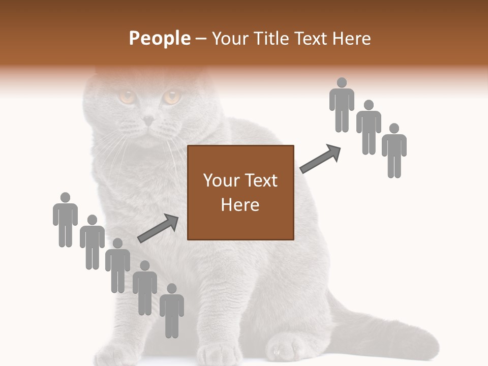 Pet Cat Curious PowerPoint Template