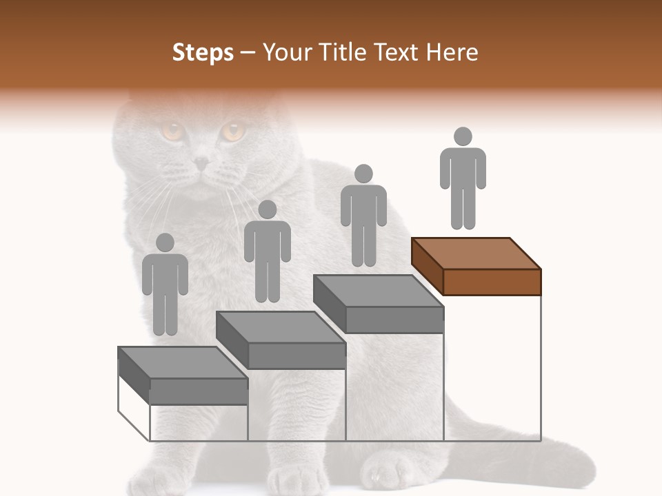 Pet Cat Curious PowerPoint Template