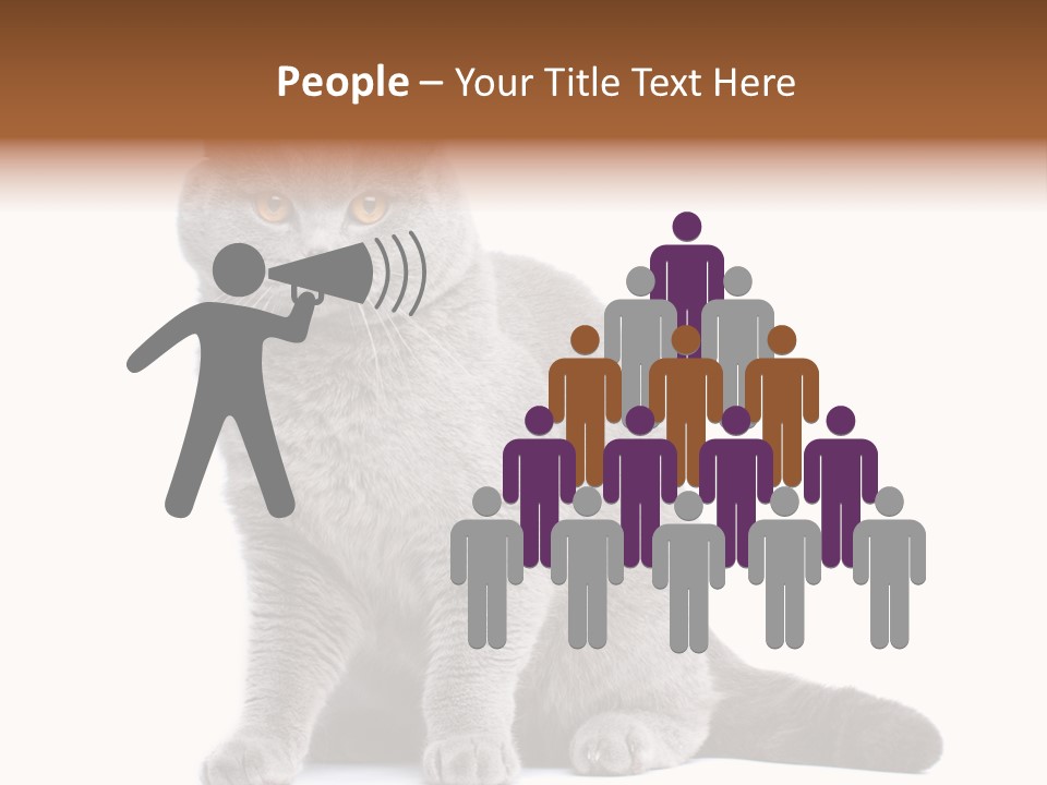 Pet Cat Curious PowerPoint Template