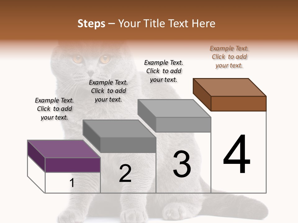 Pet Cat Curious PowerPoint Template