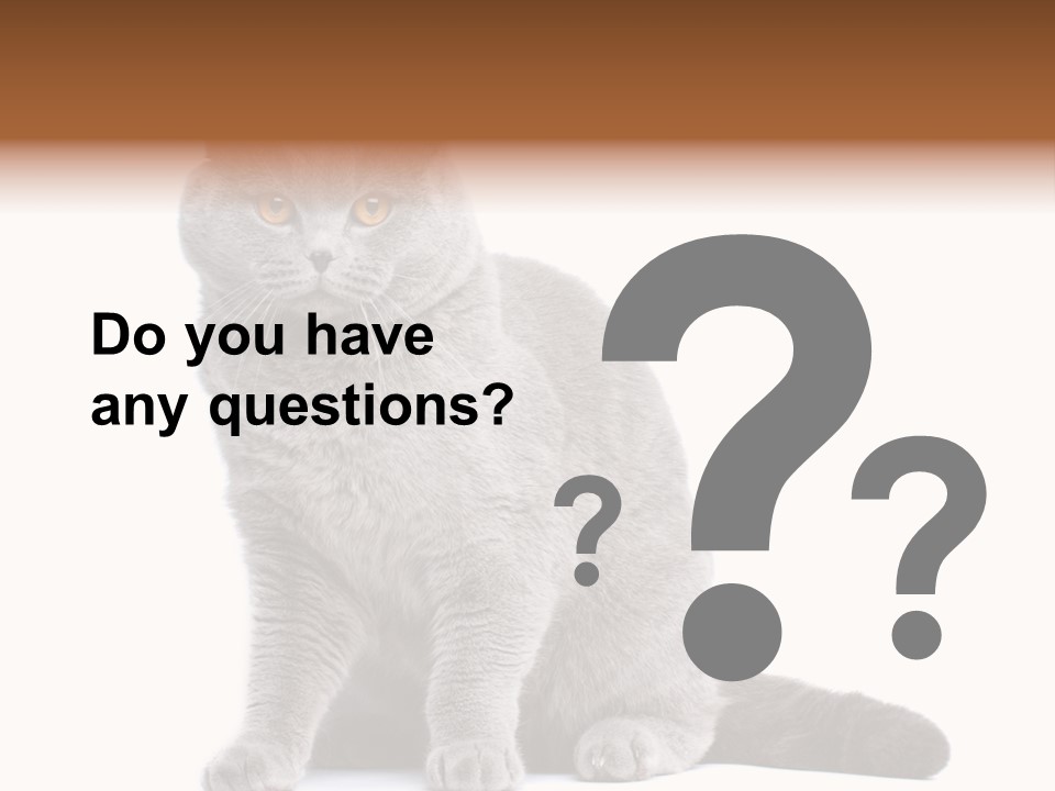 Pet Cat Curious PowerPoint Template