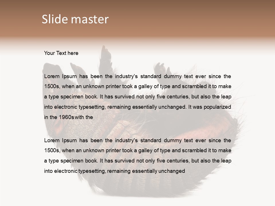 Species Isolated On White Tail PowerPoint Template