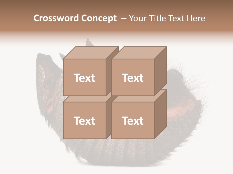 Species Isolated On White Tail PowerPoint Template